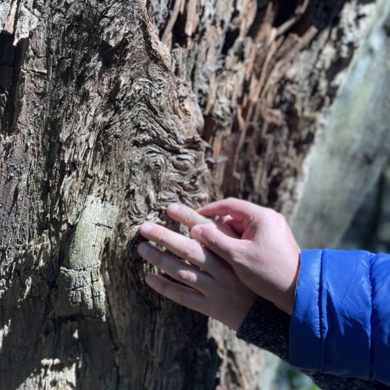 Fotografía de la corteza de un árbol, con formas intrincadas. Al centro se aprecian las manos de dos personas, una de ellas guiando a la otra para sentir la textura del tronco.